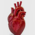 A cada 72 segundos, uma pessoa morre por doença cardiovascular no país